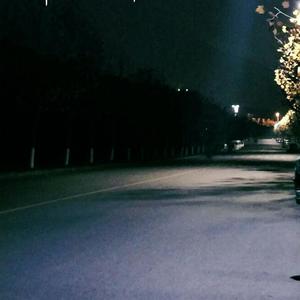 性XXⅩ欧美老妇肥老太
