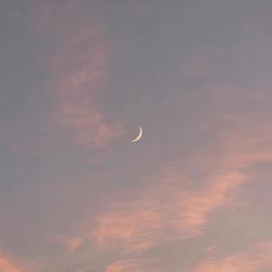 性XXⅩ欧美老妇肥老太
